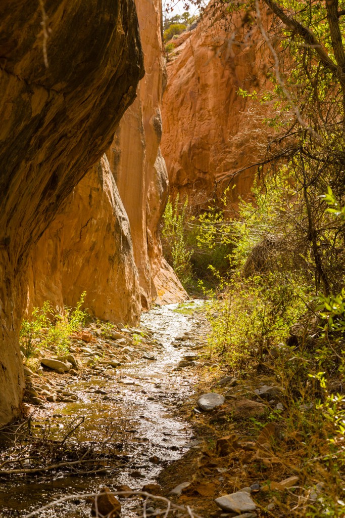 Crescent Creek Slot Canyon