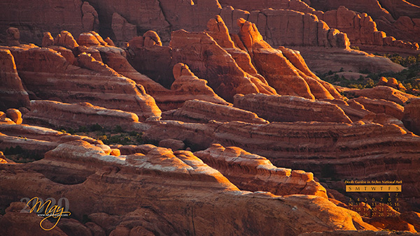 Devils Garden in Arches National Park