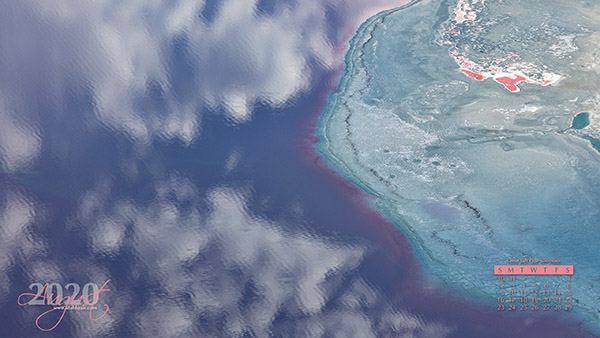 Shoreline of the Great Salt Lake